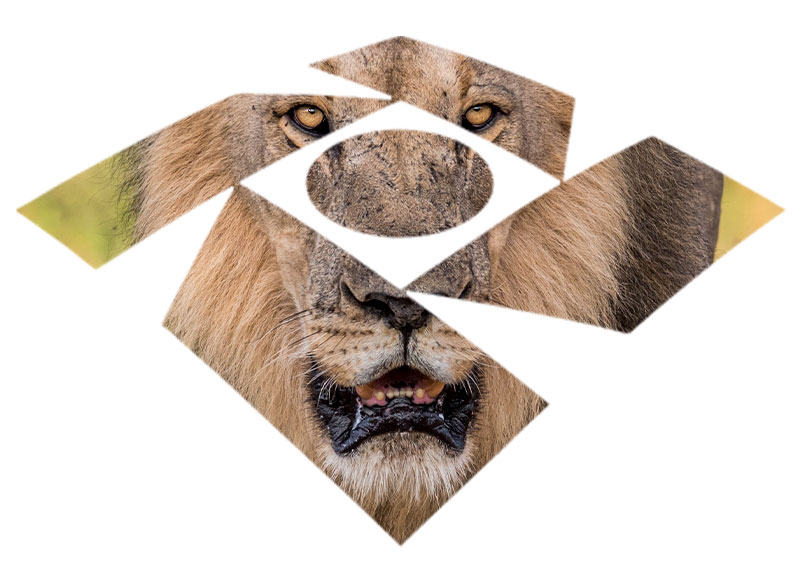 Img Grid 2 - Sites para Contabilidade | Grupo DPG