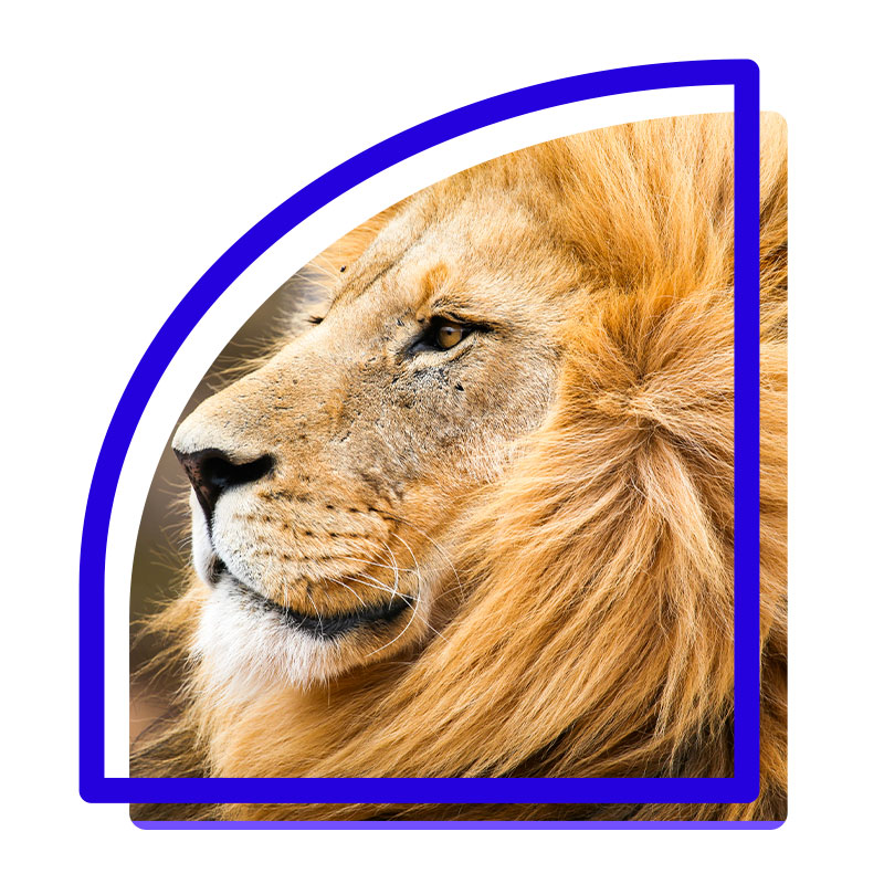 Img Grid - Sites para Contabilidade | Grupo DPG